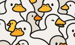 Featured image of post 学习笔记