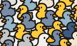 Featured image of post 项目分享